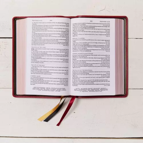 KJV Holy Bible: Large Print Single-Column with 43,000 End-of-Verse Cross References, Red Goatskin Leather, Premier Collection, Personal Size, Thumb Indexed: King James Version