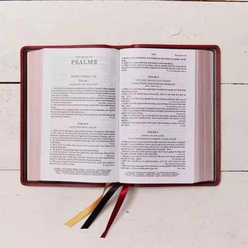 KJV Holy Bible: Large Print Single-Column with 43,000 End-of-Verse Cross References, Red Goatskin Leather, Premier Collection, Personal Size, Thumb Indexed: King James Version