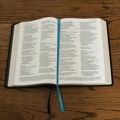 NKJV, Large Print Thinline Reference Bible, Blue Letter, Maclaren Series, Leathersoft, Black, Thumb Indexed, Comfort Print