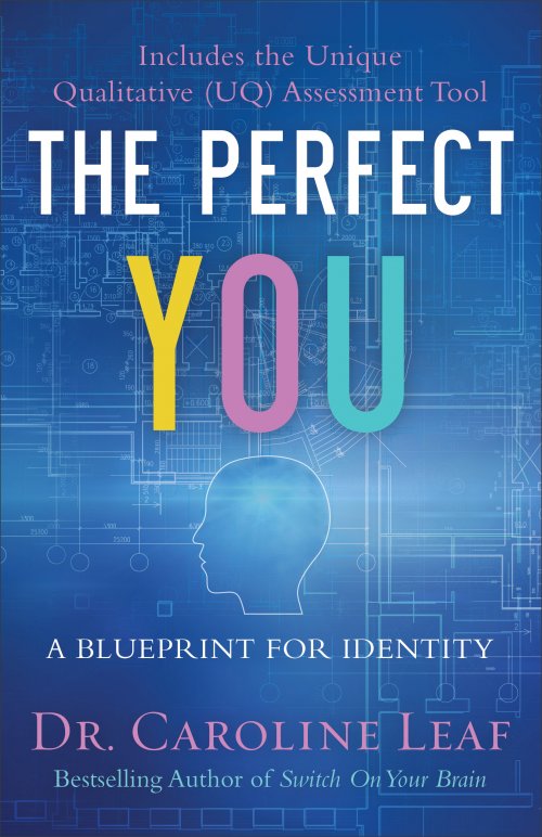 The Perfect You