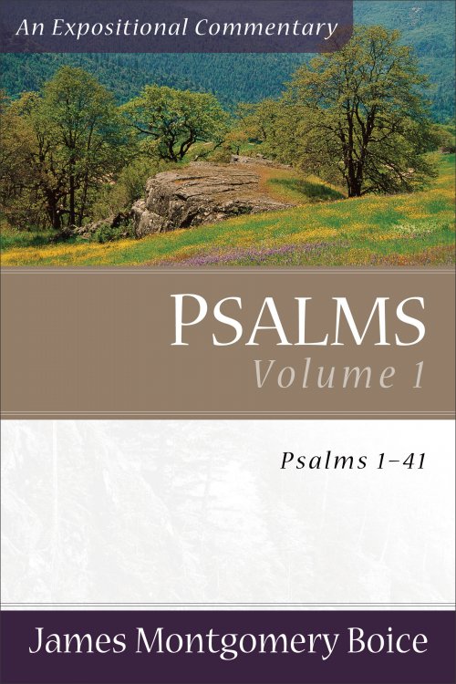 Psalms 1-41 : Expositional Commentary