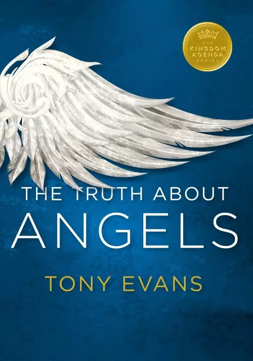 The Truth About Angels