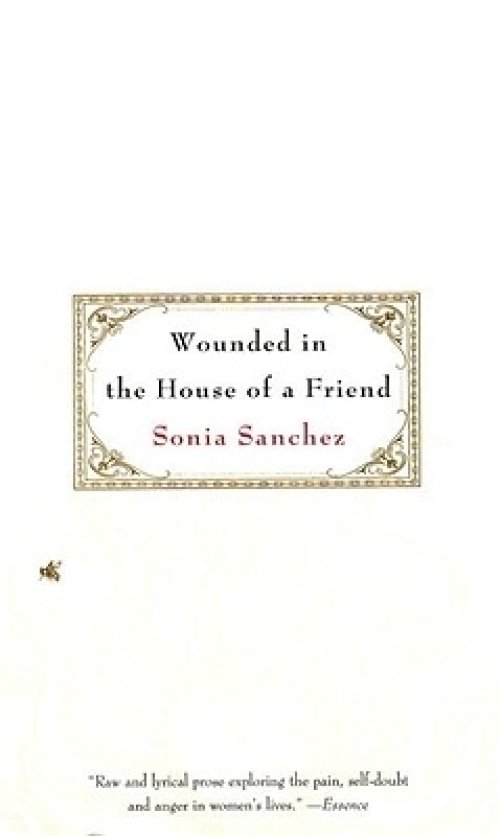 Wounded in the House of a Friend