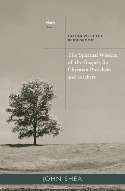 The Spiritual Wisdom of the Gospels for Christian Preachers and Teachers  Year B