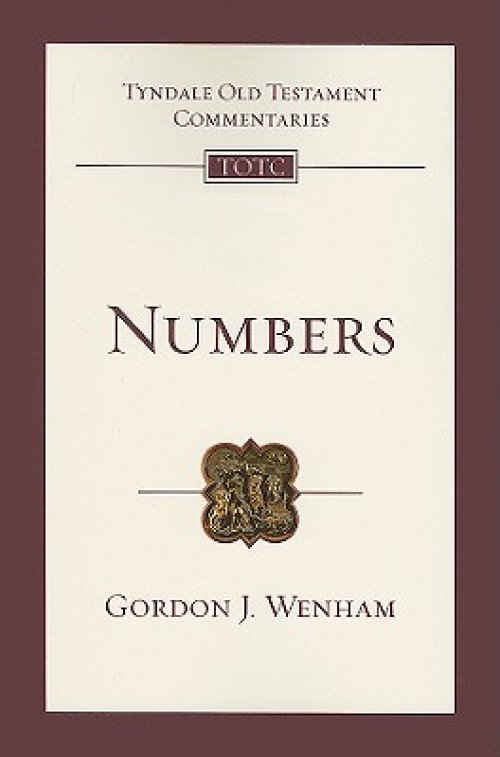 Numbers: An Introduction and Commentary Volume 4