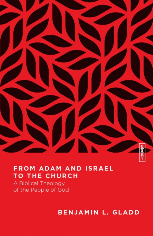 From Adam and Israel to the Church