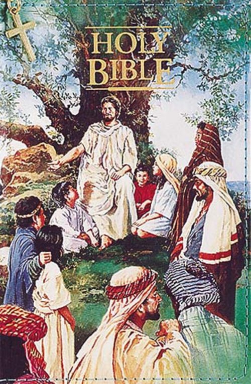 KJV Children's Seaside Bible with Zip