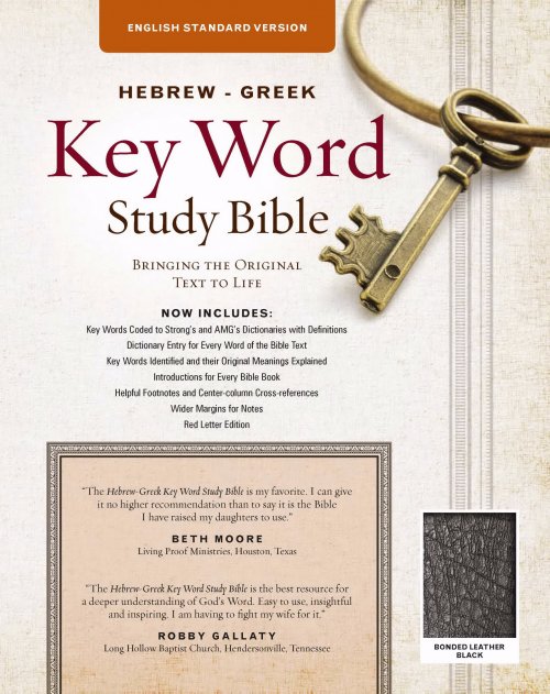 The Hebrew-Greek Key Word Study Bible