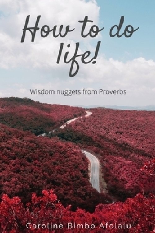 How to do life: Wisdom Nuggets From Proverbs