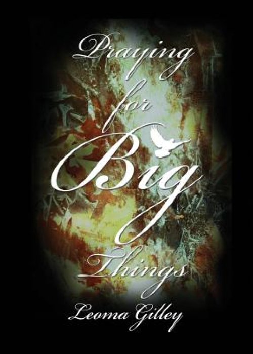 Praying for BIG Things: The Issues in our World