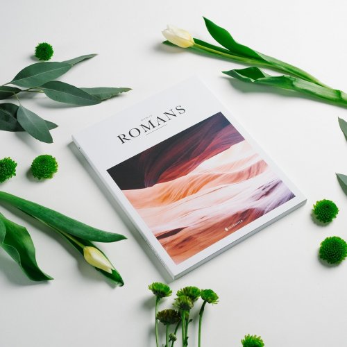 NLT Abundance Book of Romans, White, Paperback