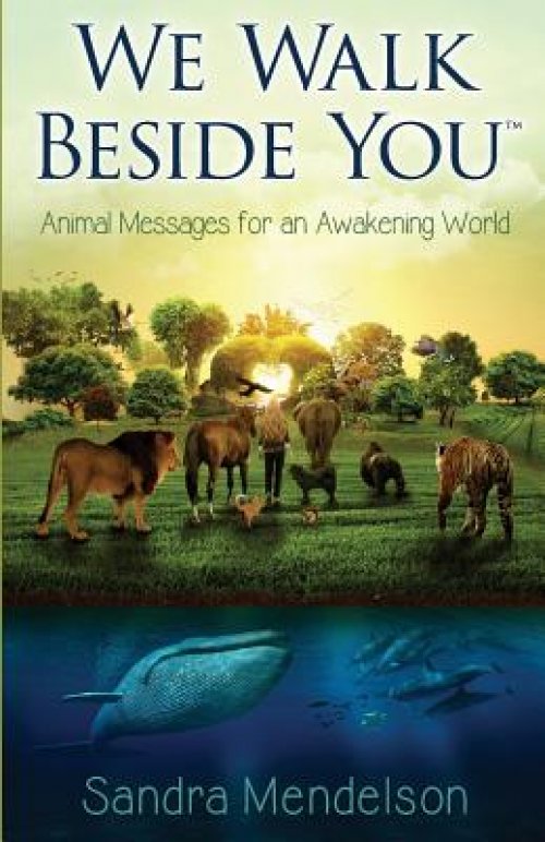 We Walk Beside You: Animal Messages for an Awakening World