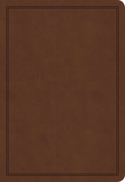 KJV Deluxe Gift Bible, Brown LeatherTouch