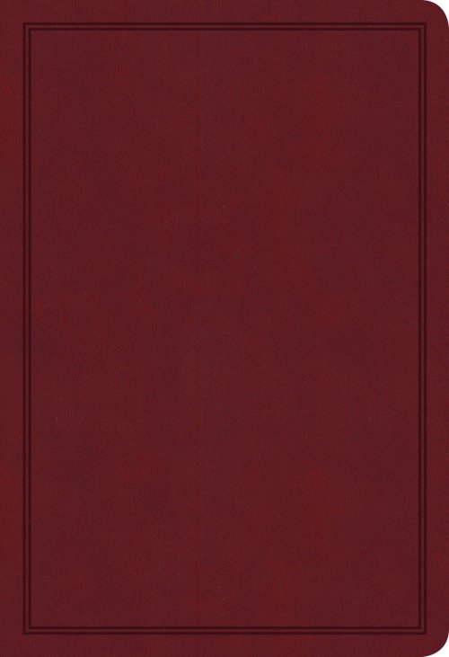 KJV Deluxe Gift Bible, Burgundy LeatherTouch