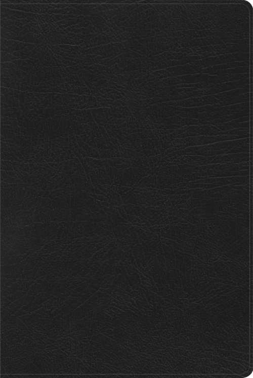 RVR 1960 Biblia de Estudio Arcoiris, negro símil piel