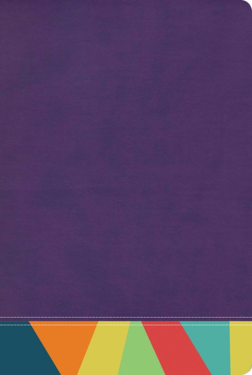 RVR 1960 Biblia de Estudio Arcoiris, morado/multicolor