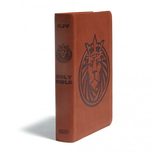 KJV Kids Study Bible, Brown, Imitation Leather