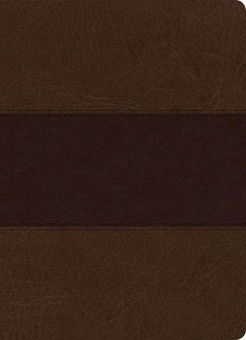 KJV Study Bible, Full-Color, Saddle Brown LeatherTouch