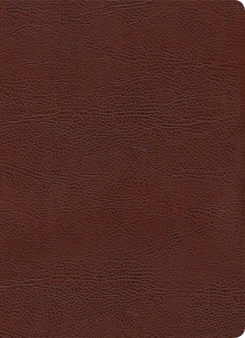 KJV Study Bible, Full-Color, Brown Bonded Leather, Indexed