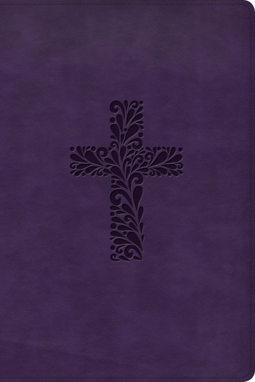 KJV Rainbow Study Bible, Purple LeatherTouch