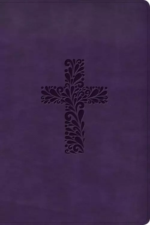 KJV Rainbow Study Bible, Purple LeatherTouch