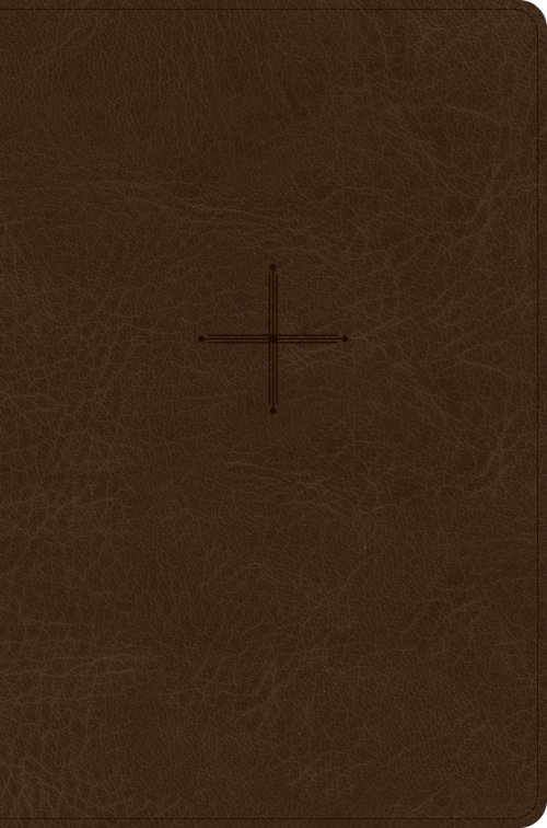 CSB Every Day with Jesus Daily Bible, Brown, Imitation Leather, Devotions, Journalling, Maps