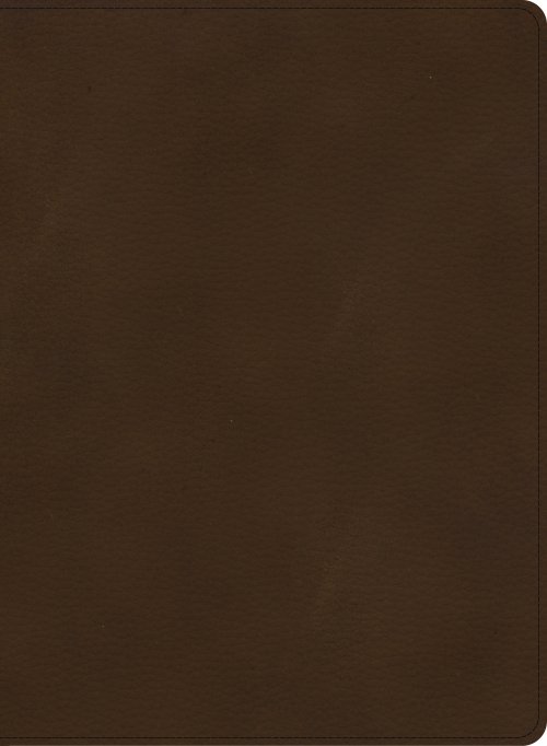 CSB Single-Column Wide-Margin Bible, Brown LeatherTouch