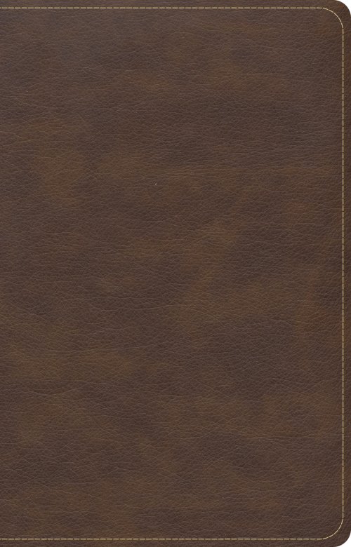 CSB Single-Column Compact Bible, Brown LeatherTouch