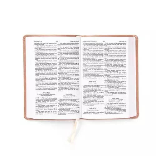 KJV Personal Size Bible, Rose Gold LeatherTouch