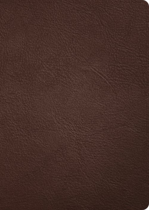 CSB Verse-by-Verse Reference Bible, Holman Handcrafted Collection, Brown Premium Goatskin