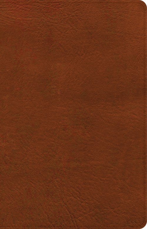 NASB Large Print Personal Size Reference Bible, Burnt Sienna LeatherTouch