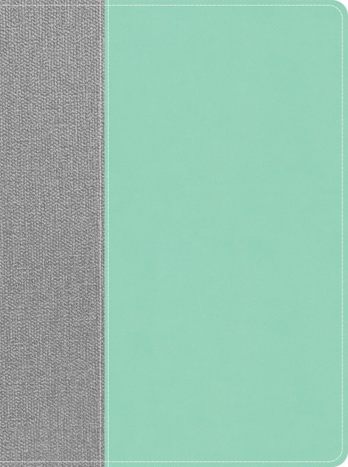 CSB Lifeway Women's Bible, Gray/Mint LeatherTouch