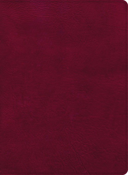 CSB Holy Land Illustrated Bible, Burgundy LeatherTouch, Indexed