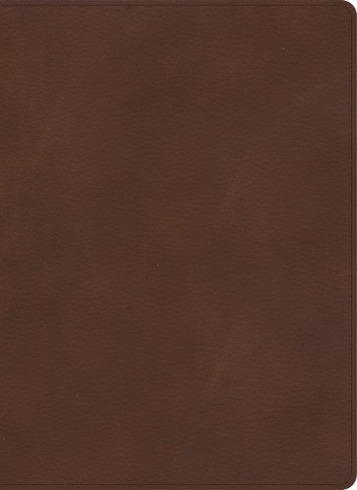 KJV Single-Column Wide-Margin Bible, Brown LeatherTouch