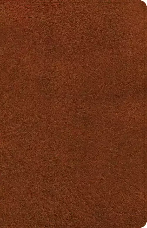 CSB Thinline Bible, Burnt Sienna LeatherTouch