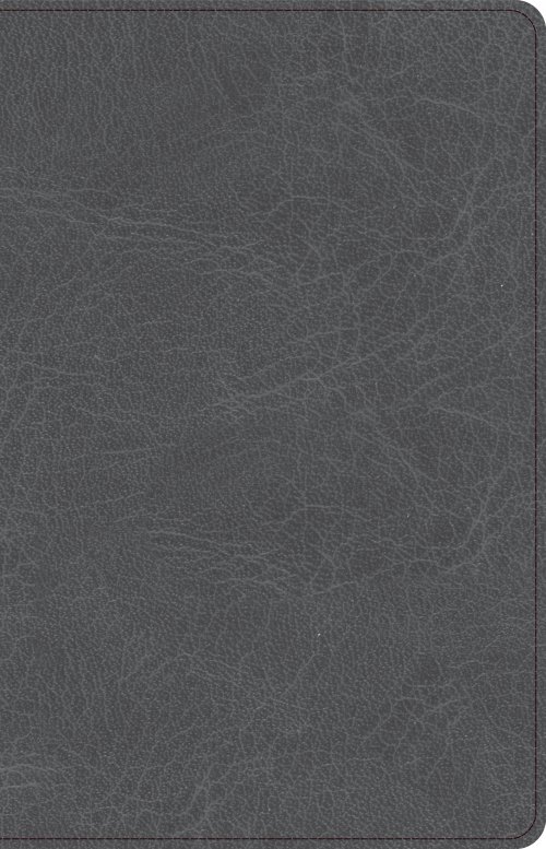 CSB Thinline Bible, Charcoal LeatherTouch