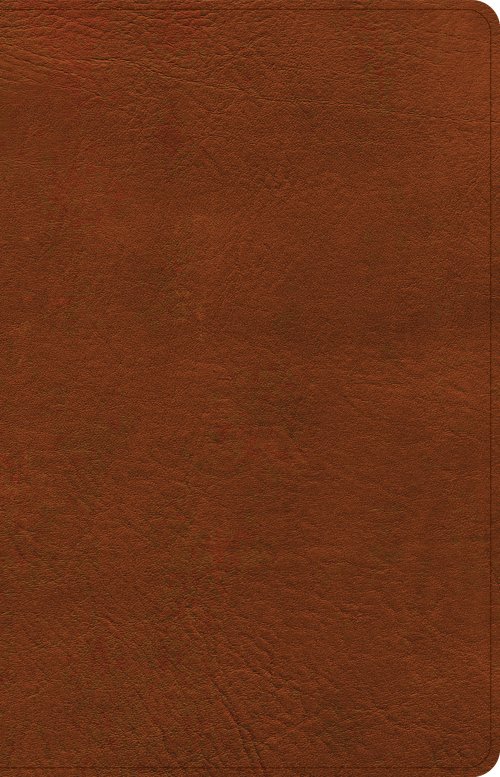 CSB Thinline Reference Bible, Burnt Sienna LeatherTouch