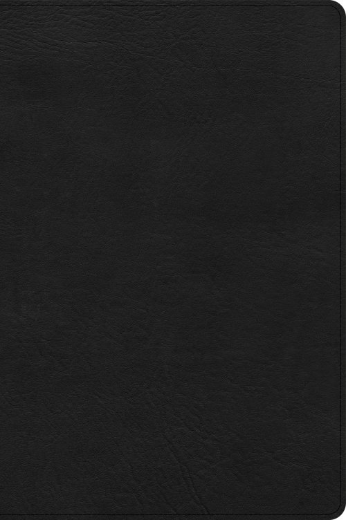 CSB Large Print Thinline Bible, Black LeatherTouch