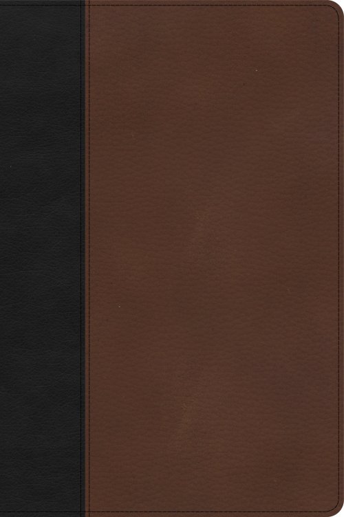 CSB Large Print Thinline Bible, Black/Brown LeatherTouch