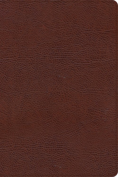 CSB Large Print Thinline Bible, Brown Bonded Leather