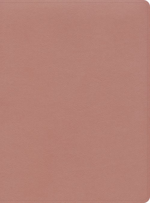 CSB Study Bible, Rose Gold LeatherTouch