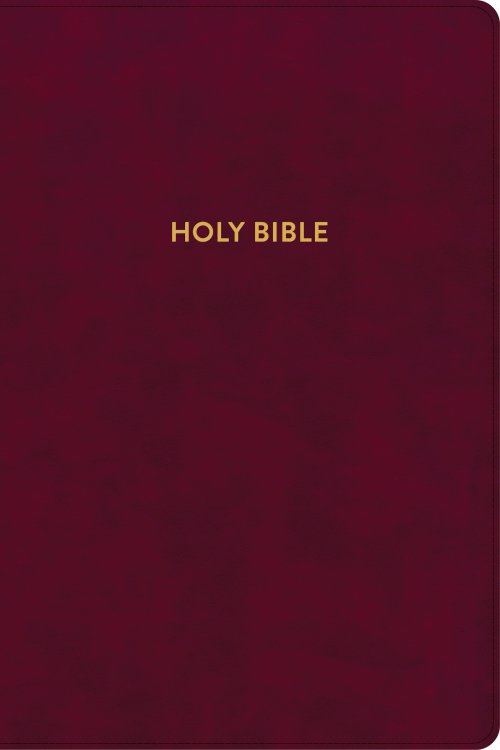 KJV Rainbow Study Bible, Burgundy LeatherTouch