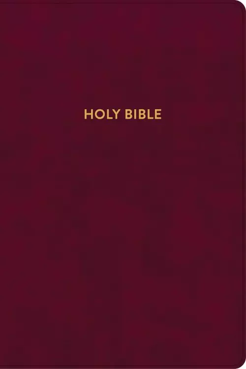 KJV Rainbow Study Bible, Burgundy LeatherTouch