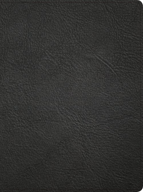 CSB Life Counsel Bible, Genuine Leather, Black, Indexed