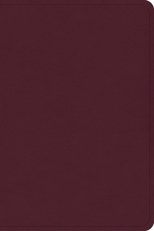 CSB Large Print Compact Reference Bible, Cranberry Leathertouch