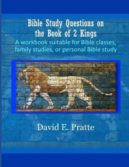 Bible Study Questions on the Book of 2 Kings: A workbook suitable for Bible classes, family studies, or personal Bible study