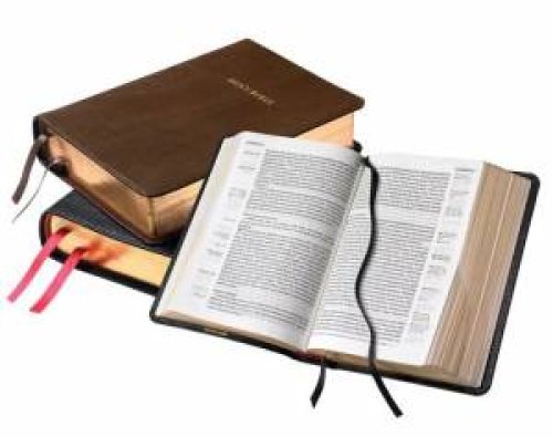 NASB Clarion Reference Bible: Black, Calf Split Leather