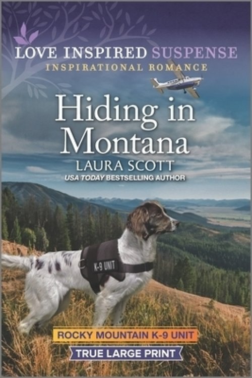 Hiding in Montana