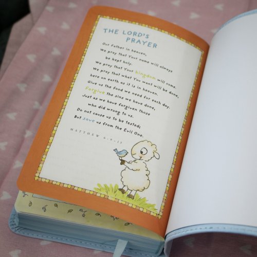 International Children's Bible (ICB) Really Woolly Bible: Pink, Leathersoft