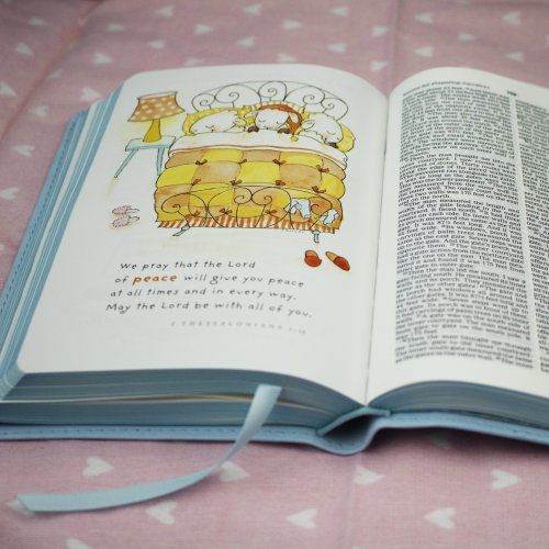 International Children's Bible (ICB) Really Woolly Bible: Pink, Leathersoft